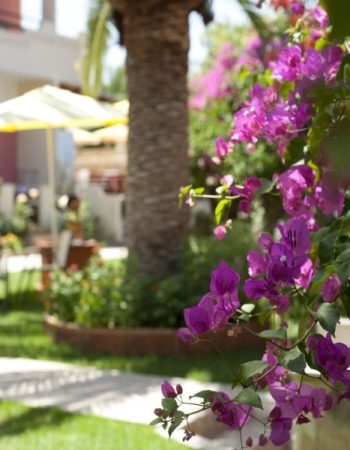 Nikolas Suites